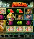 Tarzan slot machine: regole e simboli